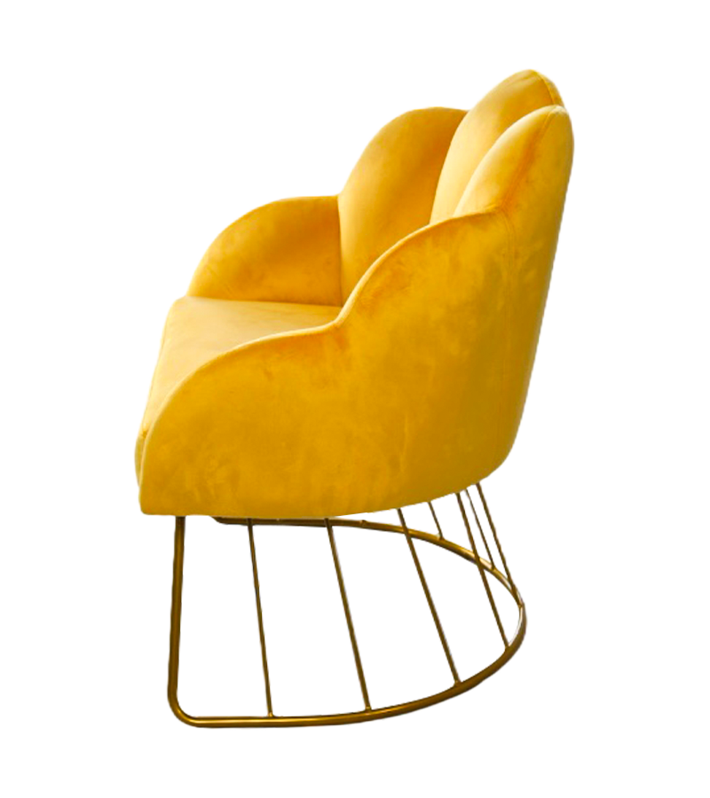 AN314 كرسي مسمار كرسي بتلة عصاري